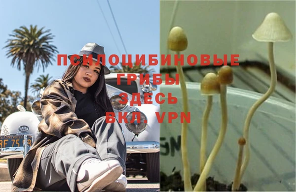 гидра Тайга