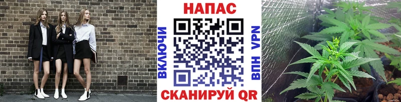 Бошки марихуана Amnesia  Дрезна 